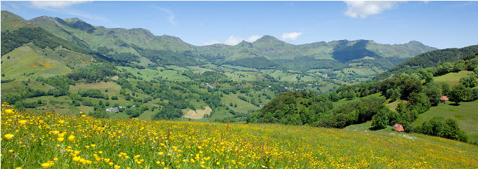 Auvergne Landscape
